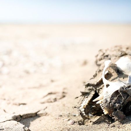 Skeleton Beach Backpackers Swakopmund Extérieur photo